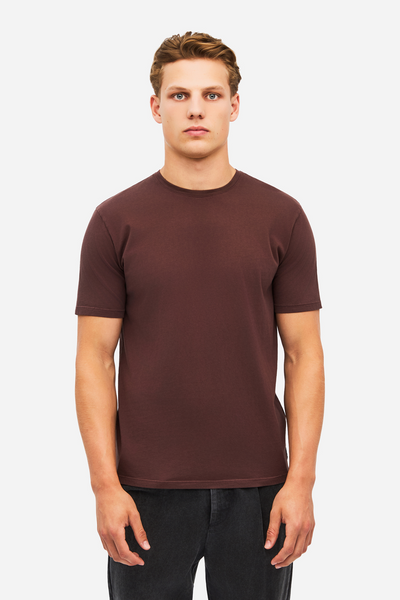 Men REGULAT FIT T-SHIRT - COCOA